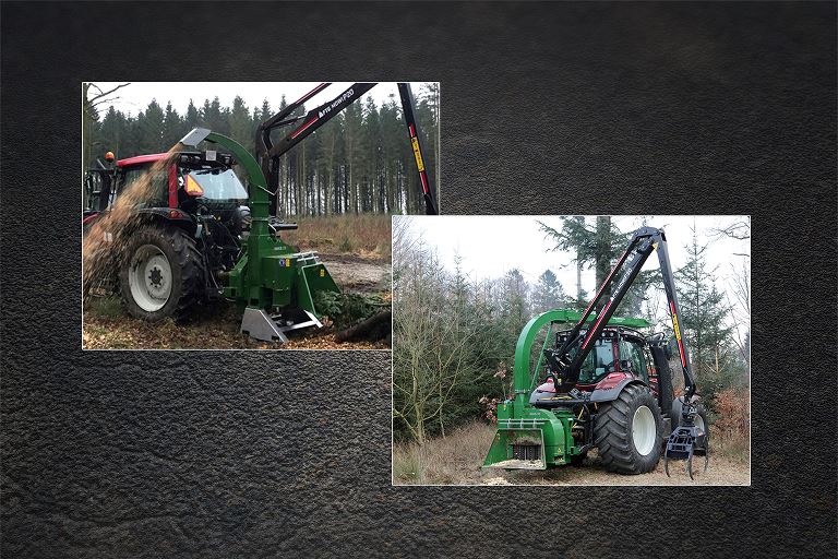 Forest Line Forest Line